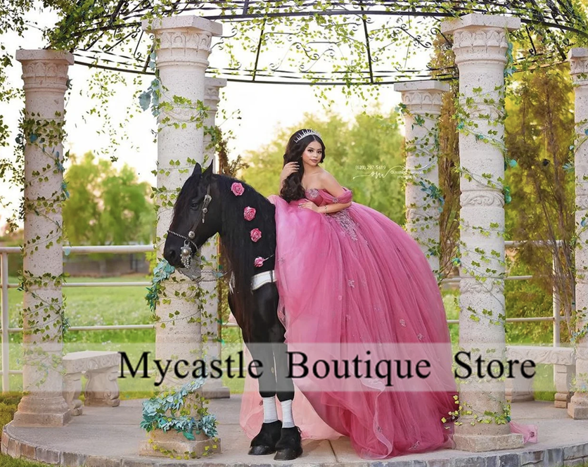 hot pink quinceanera dress on black horse