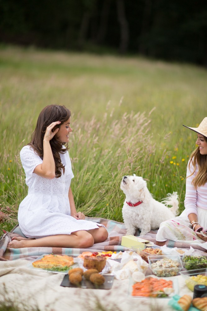 spring picnic aesthetic