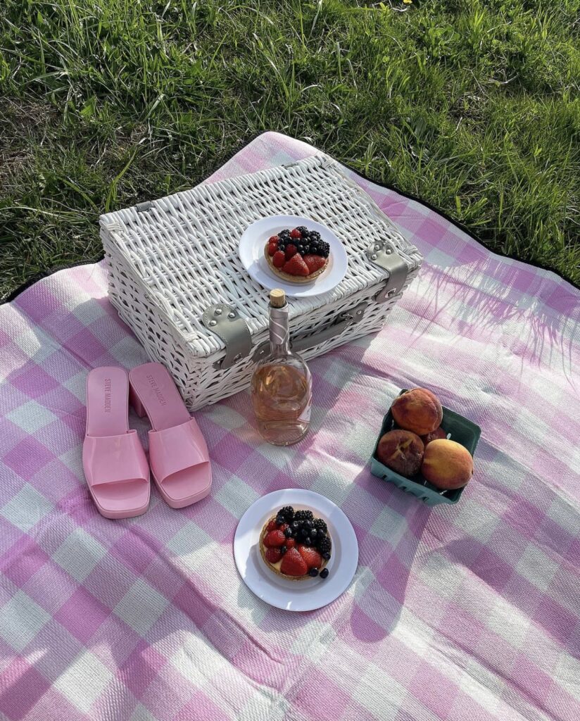 spring picnic aesthetic