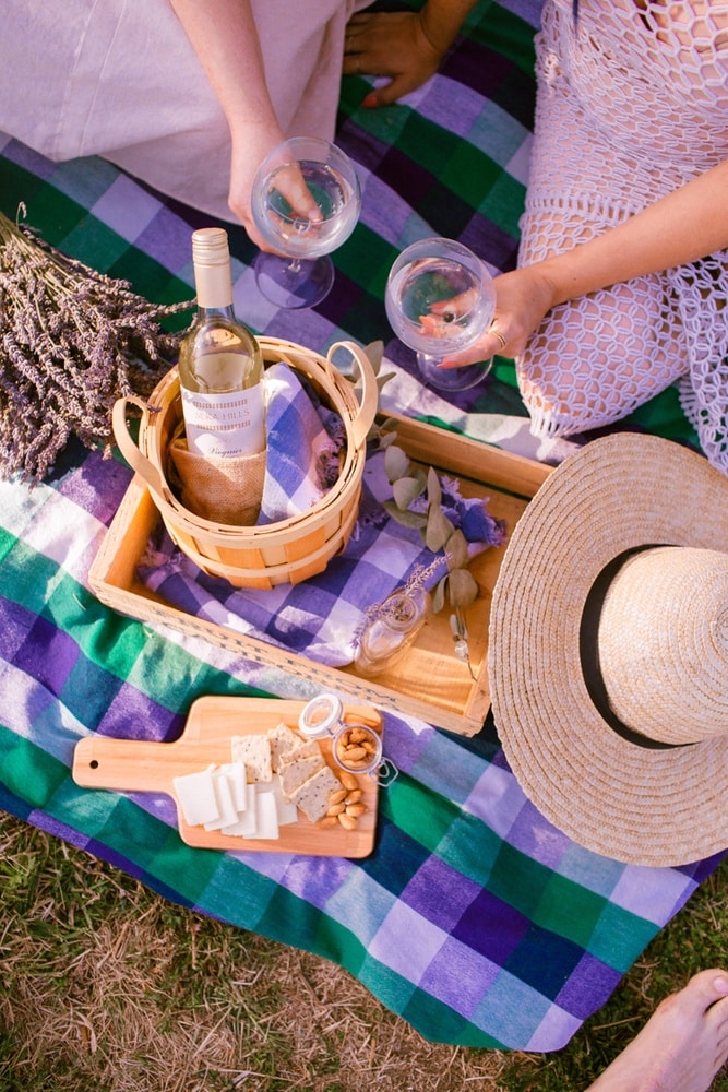 spring picnic aesthetic 