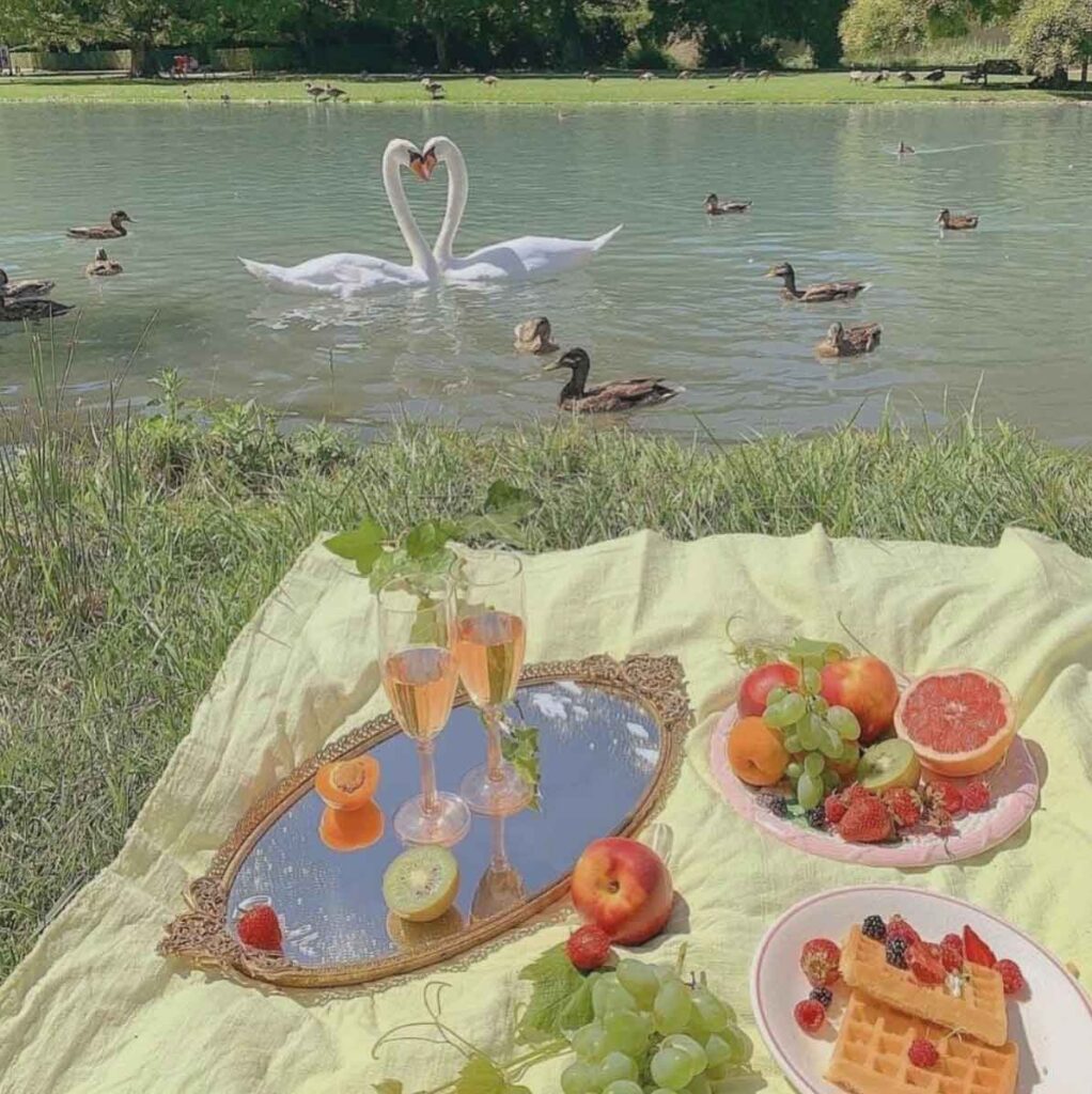 SPRING PICNIC AESTHETIC