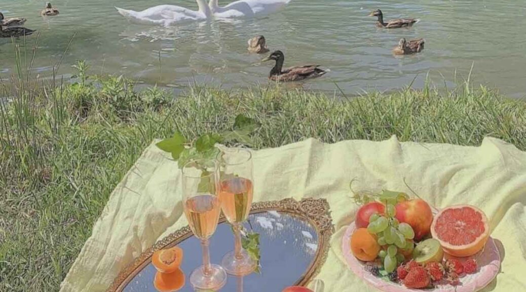 SPRING PICNIC AESTHETIC