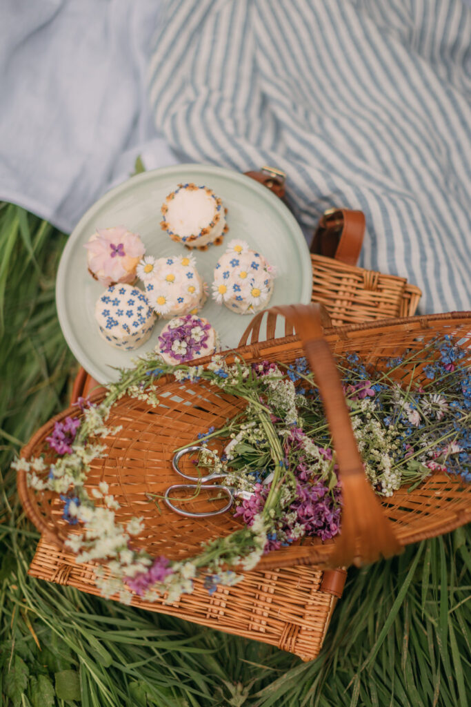 spring picnic aesthetic